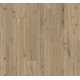 Паркетна дошка Parador TT8 V4 Дуб класик Pinot Loftplank олія Natur Plus 1744430