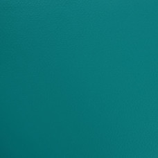 Гетерогенне покриття ПВХ Tarkett OMNISPORTS V65 TEAL