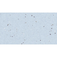 Гомогенне покриття ПВХ Tarkett Eclipse Premium PASTEL SKY BLUE 0079