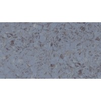 Гомогенное покрытие ПВХ Tarkett iQ Megalit GRAPHITE BLUE 0623