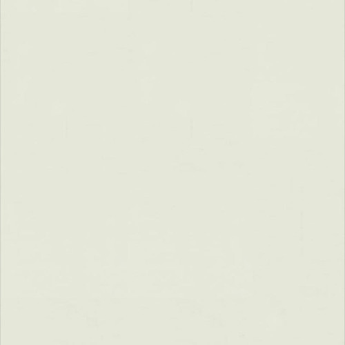 Гомогенне покриття ПВХ Tarkett WALLGARD WHITE GREEN