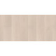 Біопол Wineo Purline 1000 PL Basic Wood L Soft Oak Salt PL295R
