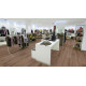 Биопол Wineo Purline 1000 PL Basic Wood L Strong Oak Cappuccino PL303R